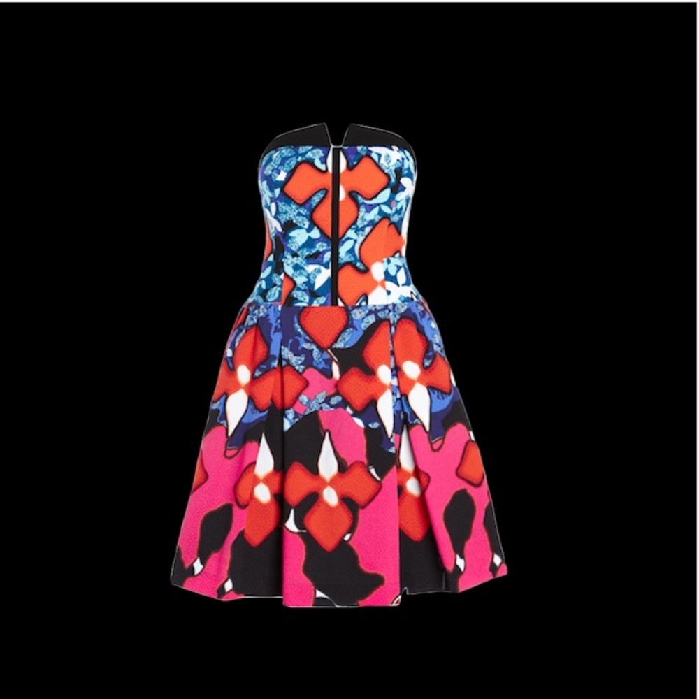 Peter Pilotto x Target Dress